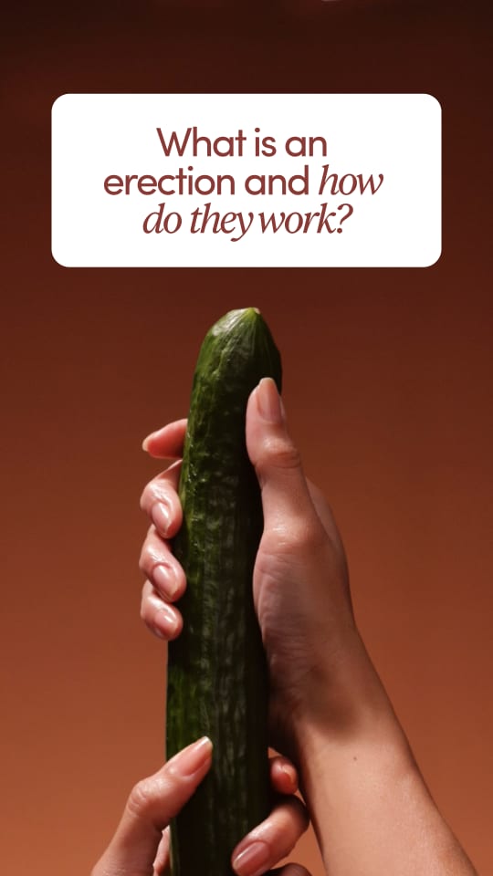 What is an erection and how do they work